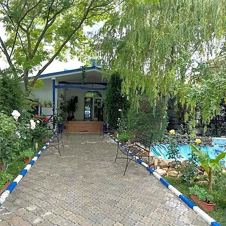 Alex 2*